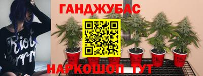 гашиш Гусиноозёрск
